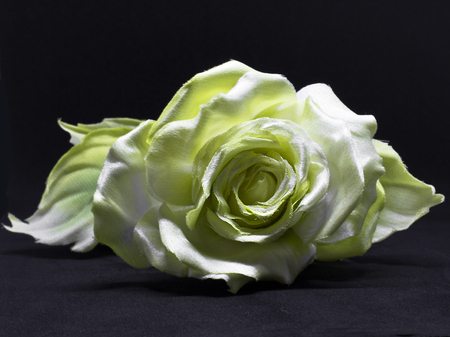 Yellow rose isolated on the black background. Artificial silk flowersの写真素材