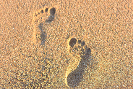 Footprints in a sand towards the seaの写真素材