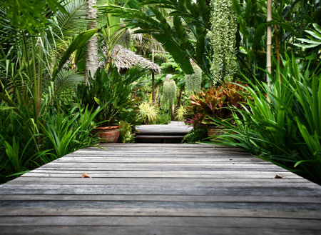 Old wooden walkway in a tropical gardenの写真素材