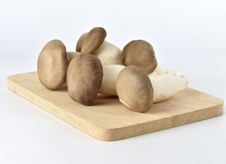 Group of organic mushrooms on wooden cutting board isolated on white backgroundの写真素材