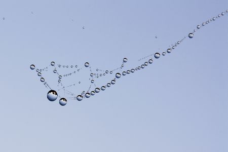 Web in drops of dew in the morning