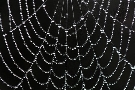 The abstract web in dewの写真素材