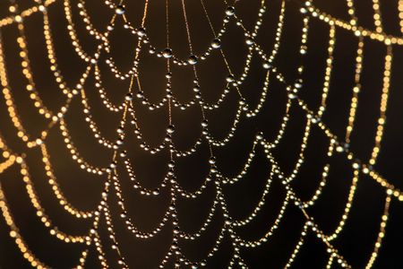 Web in dew and sun raysの写真素材