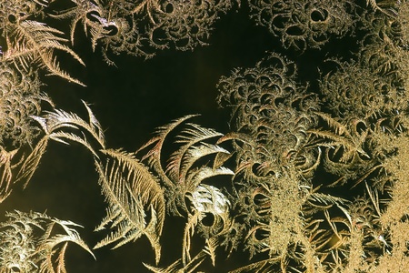 Brilliant frosty pattern on glassの写真素材