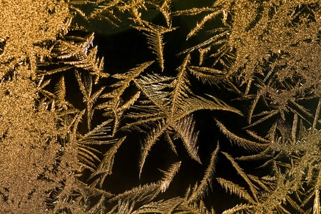 Brilliant frosty pattern on glassの写真素材