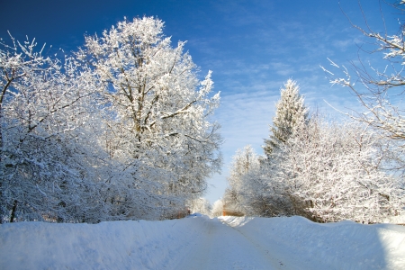 winter landscape with the roadの写真素材