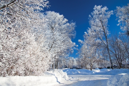 winter landscape with the roadの写真素材