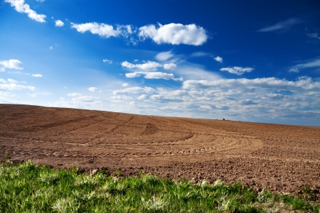 The opened field in the spring for cropsの写真素材