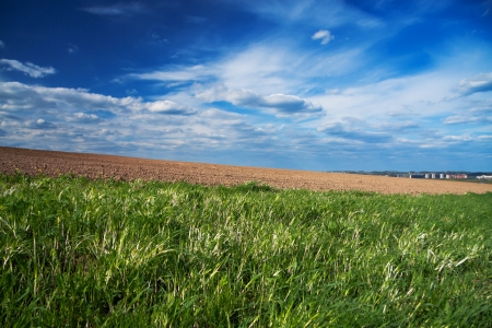 The opened field in the spring for cropsの写真素材