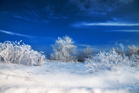beautiful winter landscape with the wood and the blue skyの写真素材