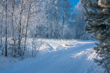 winter landscape with the road and the forestの写真素材