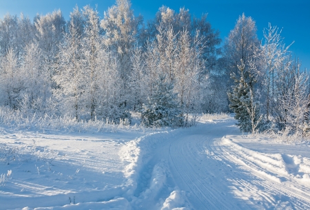 winter landscape with the road and the forestの写真素材