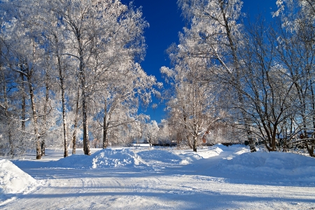 winter landscape with the road the forest and the blue skyの写真素材