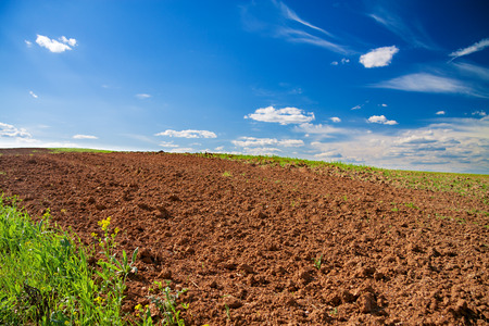 The opened field in the spring for cropsの写真素材