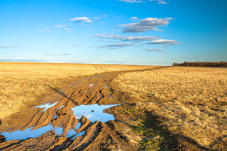 autumn rural landscape with the dirty roadの写真素材
