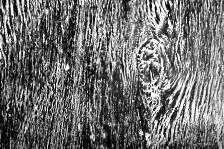 abstract black and white background from a woodの写真素材