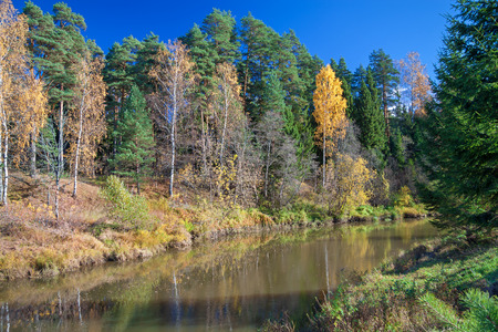 beautiful autumn landscape with the river, the forest and the blue skyの写真素材