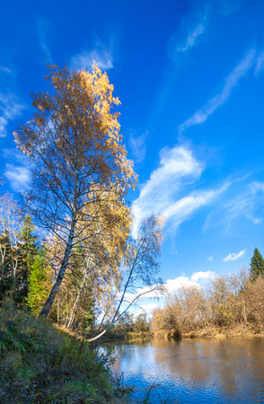 beautiful autumn landscape with the river, the forest and the blue skyの写真素材