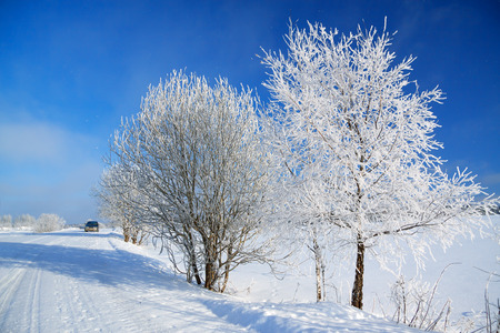 winter landscape with the road the forest and the blue skyの写真素材