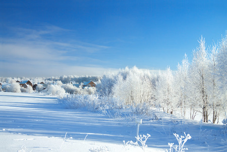 beautiful rural winter landscape with the village and the forest and  blue skyの写真素材