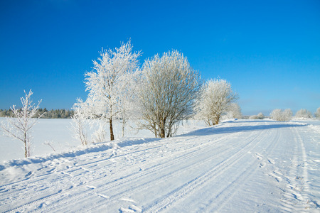 winter  rural landscape with the road the forest and the blue skyの写真素材