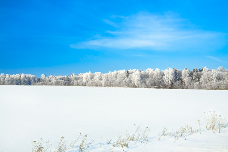 rural winter landscape with a field snow and the blue skyの写真素材