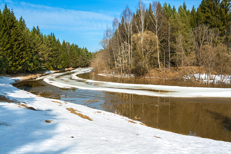 beautiful  spring landscape with the river and the forestの写真素材