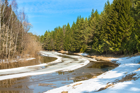 beautiful  spring landscape with the river and the forestの写真素材