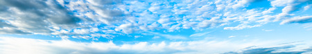 the panorama  with the blue sky and white clouds