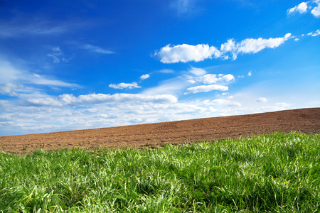 The agriculture arable land field in the spring for cropsの写真素材