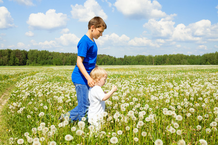 the two children boys play on a summer meadowの写真素材