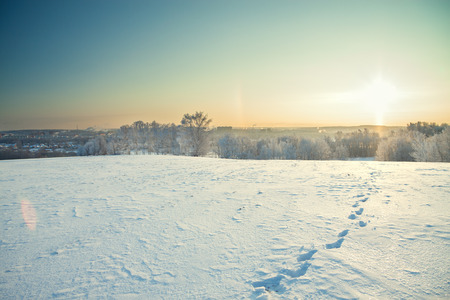 winter landscape a with blue sky, field  and forestの写真素材