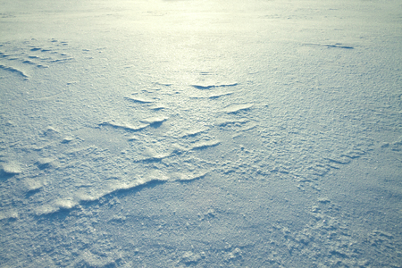 winter background from snow shiny in the sunの写真素材