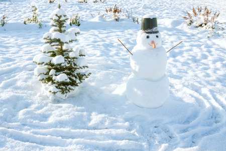 New Year's and Christmas symbol of a holiday fir tree and snowman. winter entertainment  の写真素材