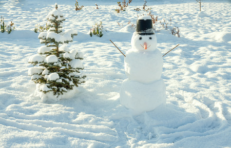 New Year's and Christmas symbol of a holiday fir tree and snowman. winter entertainment  の写真素材