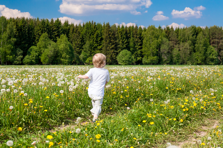  small child  boy plays on a summer meadow. little kid  in spring park, leisure activityの写真素材