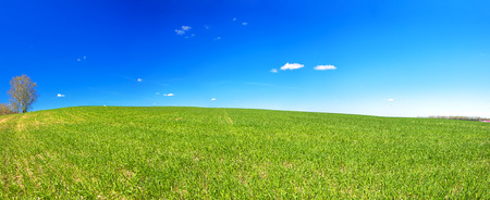 beautiful spring rural landscape with field and blue sky, a panorama. agricultural field panoramic view. agriculture panoramaの写真素材