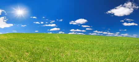 beautiful spring rural landscape with field and blue sky, a panorama. agricultural field panoramic view. agriculture panoramaの写真素材