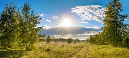 beautiful rural summer landscape with road, a meadow,forest and fog, panorama. panoramic view of blue sky with sun, clouds and sunrise. sunbeams morningの写真素材