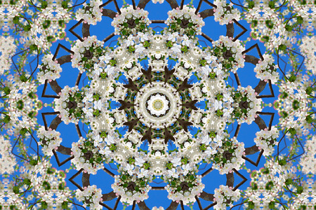 abstract background of floral pattern of a kaleidoscope. white blue green background fractal mandala. abstract kaleidoscopic arabesque. geometrical ornament flower patternの写真素材