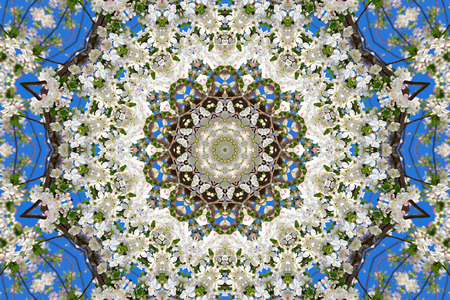 abstract background of floral pattern of a kaleidoscope. white blue green background fractal mandala. abstract kaleidoscopic arabesque. geometrical ornament flower patternの写真素材