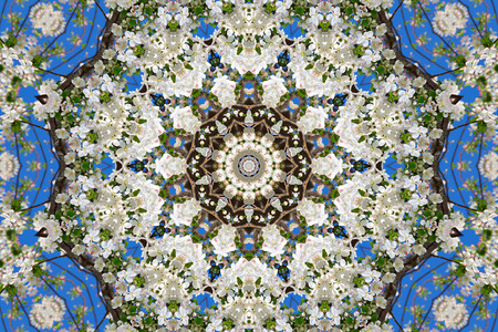 abstract background of floral pattern of a kaleidoscope. white blue green background fractal mandala. abstract kaleidoscopic arabesque. geometrical ornament flower patternの写真素材