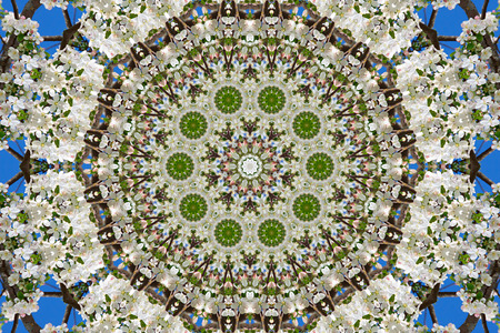 abstract background of floral pattern of a kaleidoscope. white blue green background fractal mandala. abstract kaleidoscopic arabesque. geometrical ornament flower patternの写真素材