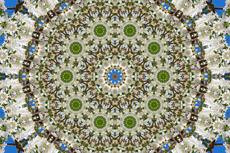 abstract background of floral pattern of a kaleidoscope. white blue green background fractal mandala. abstract kaleidoscopic arabesque. geometrical ornament flower patternの写真素材
