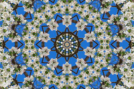 abstract background of floral pattern of a kaleidoscope. white blue green background fractal mandala. abstract kaleidoscopic arabesque. geometrical ornament flower patternの写真素材