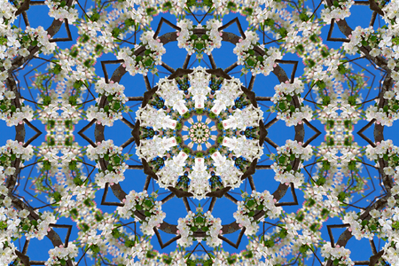 abstract background of floral pattern of a kaleidoscope. white blue green background fractal mandala. abstract kaleidoscopic arabesque. geometrical ornament flower patternの写真素材