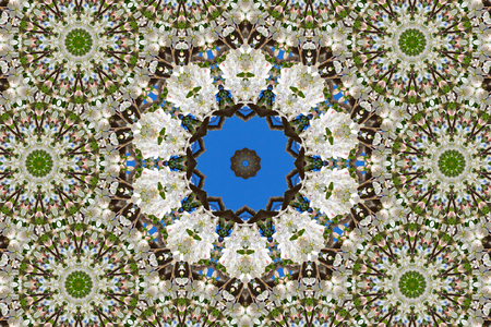 abstract background of floral pattern of a kaleidoscope. white blue green background fractal mandala. abstract kaleidoscopic arabesque. geometrical ornament flower patternの写真素材