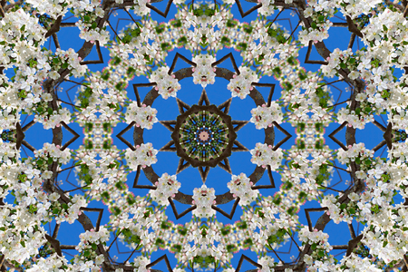 abstract background of floral pattern of a kaleidoscope. white blue green background fractal mandala. abstract kaleidoscopic arabesque. geometrical ornament flower patternの写真素材