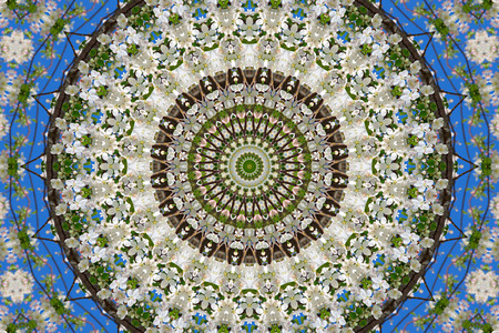 abstract background of floral pattern of a kaleidoscope. white blue green background fractal mandala. abstract kaleidoscopic arabesque. geometrical ornament flower patternの写真素材