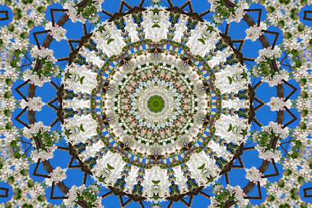 abstract background of floral pattern of a kaleidoscope. white blue green background fractal mandala. abstract kaleidoscopic arabesque. geometrical ornament flower patternの写真素材